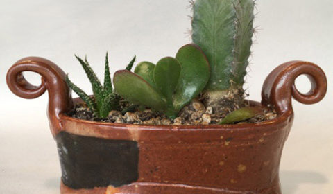 Judy Kanigel Planter