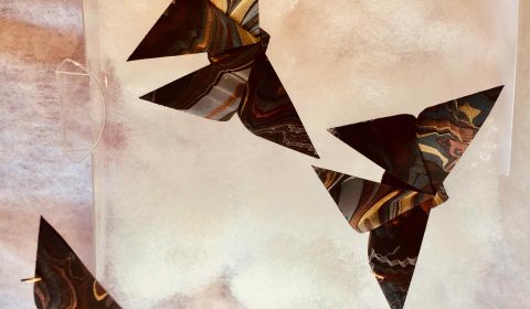 Lyn Brown, Butterflies
