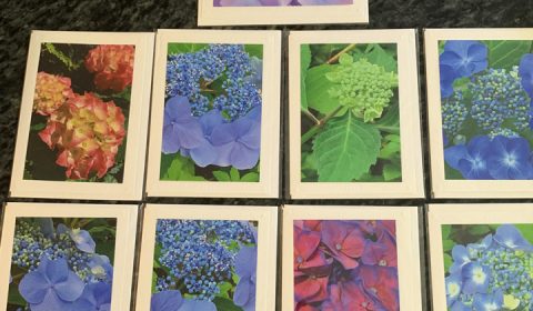 Janet Hurd, photo cards