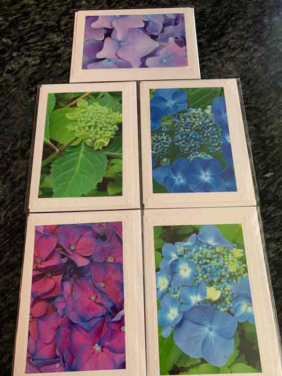 Janet Hurd, photo cards