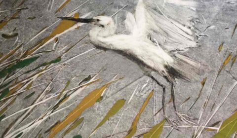 Sholeh Regna Monotype