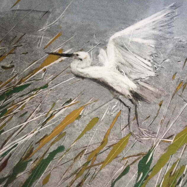 Sholeh Regna Monotype