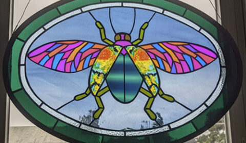 Jackie Fazekas, Stained Glass