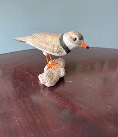 Alice Templeton, White Stoneware, Piping Plover on log