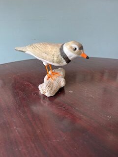Alice Templeton, White Stoneware, Piping Plover on log